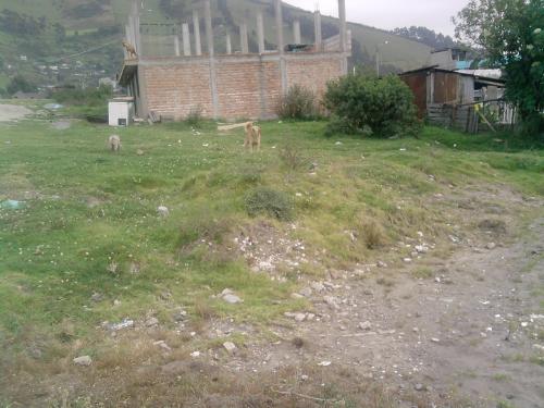 SE VENDE TERRENO  EXCELENTE UBICACION..,,ESQUINERO TIENE 220m2