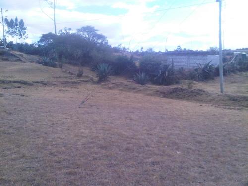 Terreno en Puembo cerca del Club los Arrayanes