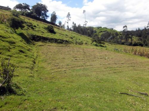 TERRENO ALANGASI, LOTIZACIÓN LA COCHA 2.010M2 $25.000 INFORMES: 2353-232, 0997-592747