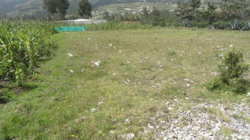 VENDO TERRENO EN CRUZ LOMA - OTAVALO