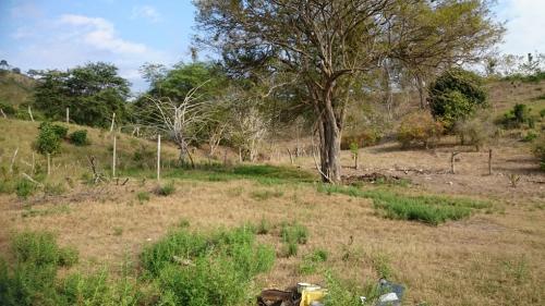 DE OPORTUNIDAD VENDO HERMOSA FINCA