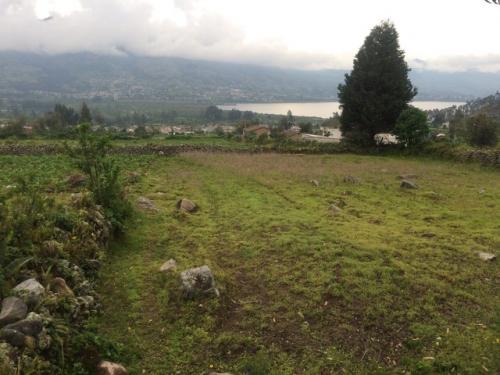 DE GRAN OPORTUNIDAD  EN ARAQUE