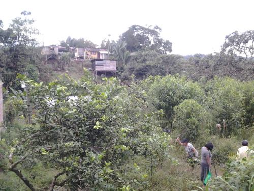 TERRENO PUYO CERCA DEL CENTRO DEL PUYO , AMPLIO PARA VIVIENDA