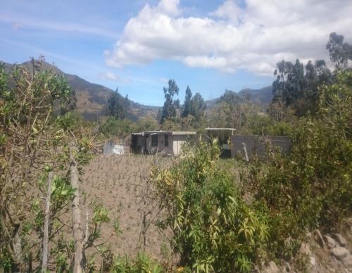 VENDO CASA ECONÓMICA EN SAN PABLO