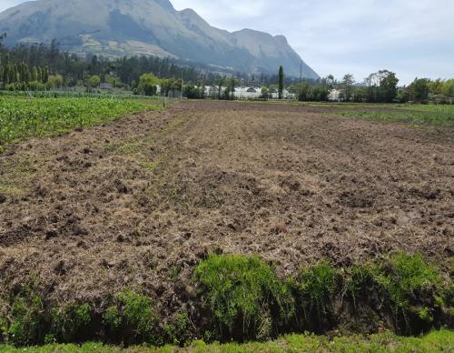 VENDO HERMOSA PROPIEDAD DE 1000M2 EN COTACACHI