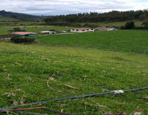 FINCA GANADERA EN VENTA EN CAYAMBE