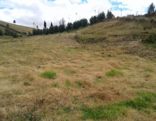 SE VENDE HERMOSO TERRENO APTA PARA CASA DE CAMPO