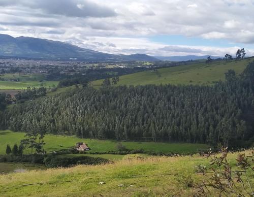 PROPIEDAD CON BOSQUE DE EUCALIPTO Y POTREROS