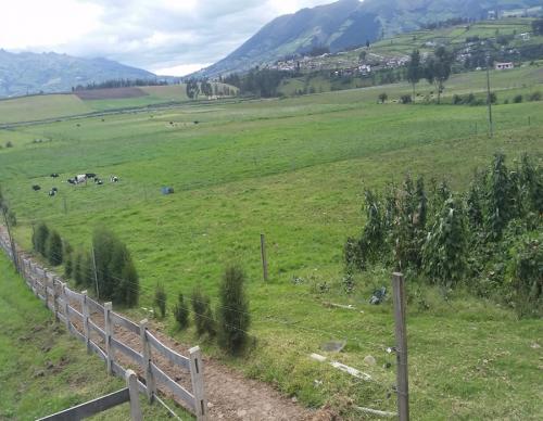 5 HECTAREAS PLANAS EN CAYAMBE