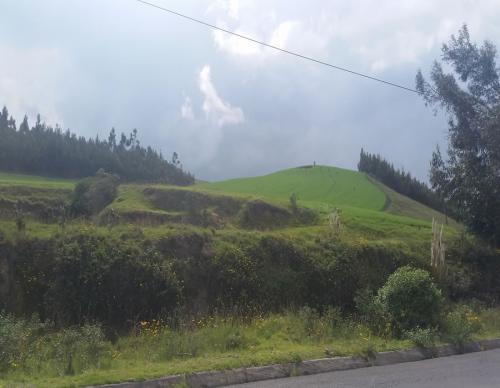 DE OPORTUNIDAD PROPIEDAD DE 5 HECTÁREA EN CAYAMBE