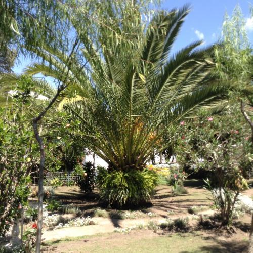 HERMOSA PROPIEDAD VALLE DE LOS CHILLOS