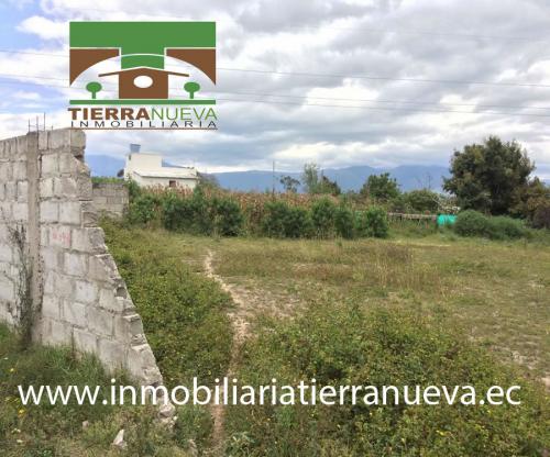 SE VENDE UNA TERRENO EN NATABUELA “OTAVALO”