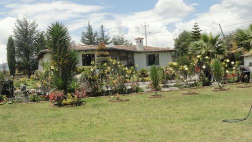 VENDO CASA Y TERRENO DE 2 HECTAREAS EN COTACACHI