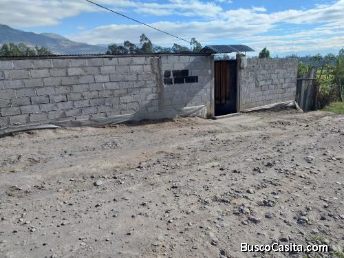 Casa con terreno sembrado arboles frutales area total 2400 metros cuadrados