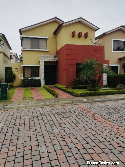 Vendo hermosa casa en Ciudad Celeste, Samborondon