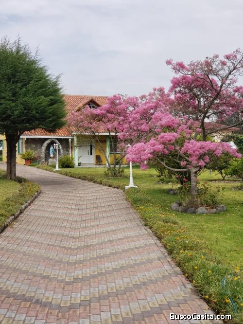 VENDO CASA VACACIONAL 2563 M2 DE TERRENO,  PIFO