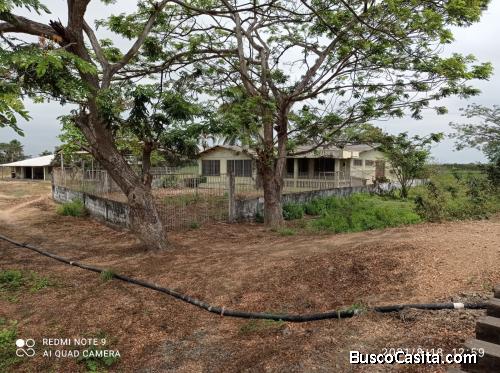 Vendo terreno de 5.6 hectáreas en el Km 14 via Duran Yaguachi