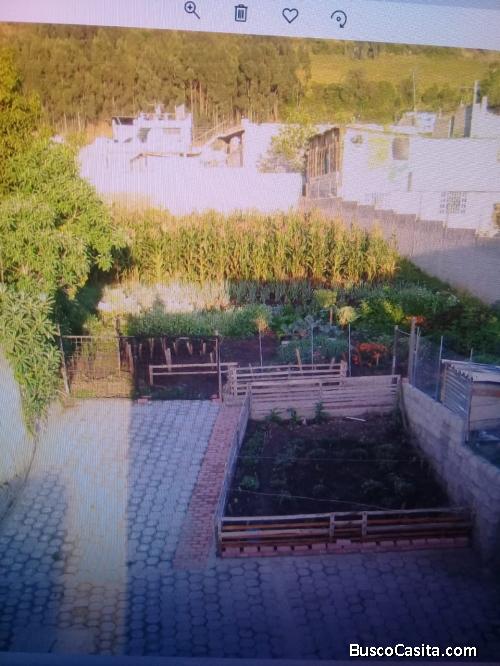 HERMOSA PROPIEDAD DEPARTAMENTOS Y TERRENO.