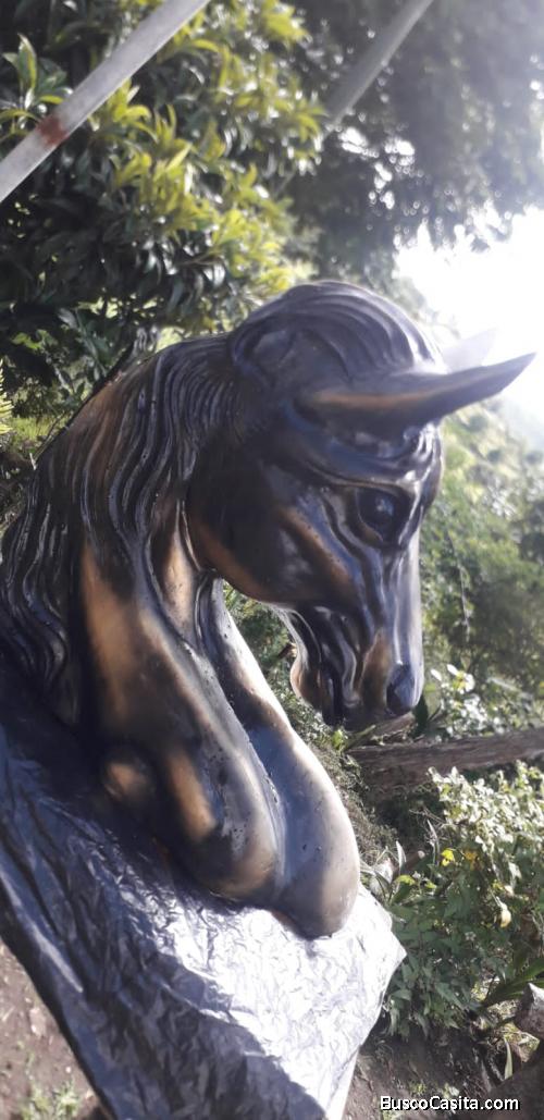 oportunidad de compra