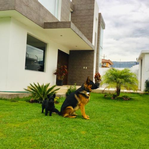 SAN JOSE DEL VALLE, Propiedad moderna en venta, 1525m2 de terreno y 450m2 de construcción