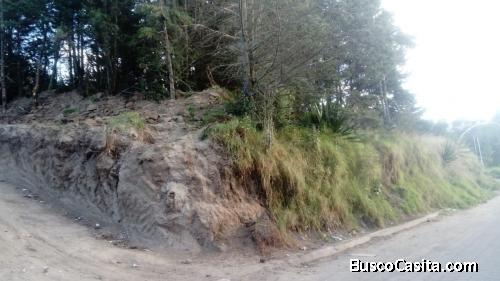 Venta de lote de terreno con arboles de cipres