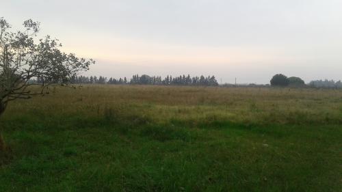 Se vende casas con terreno zona El Colorado
