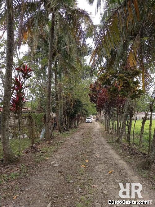 FINCA DE 126 TAREAS CON CASA Y RÍO DE VENTA EN BONAO