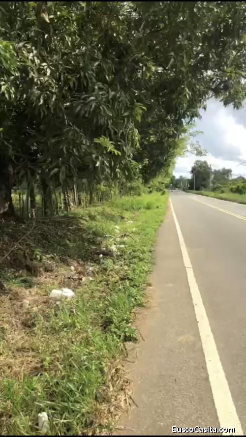 Vendo Excelente Finca A ORILLA DE LA CARRETERA Y A 45 Minutos del Santo Domingo, de 73 tareas en el 