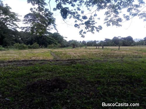 FINCA DE 45 TAREAS DE VENTA EN BONAO