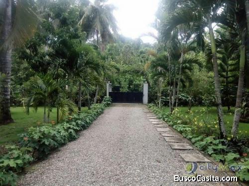 Casa Y Finca De Cacao De Campo En Venta Alta Mira, Puerto Plata 
