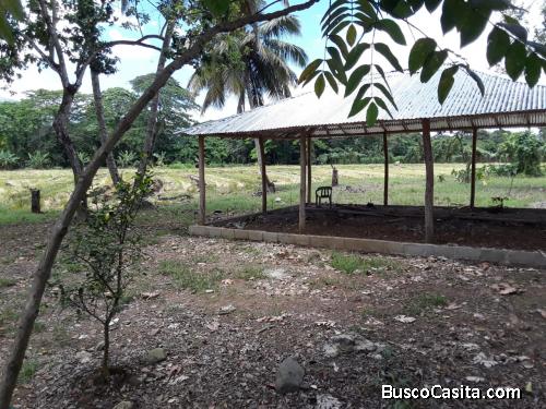 FINCA DE 45 TAREAS DE VENTA EN BONAO