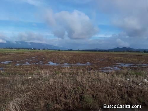 FINCA DE 50 TAREAS DE VENTA EN BONAO